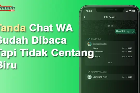 Inilah Tanda Chat WA Sudah Dibaca tapi Tidak Centang Biru