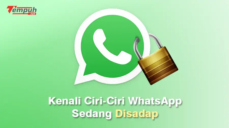 Ciri-Ciri WhatsApp Disadap Jarak Jauh dan Cara Mengatasinya