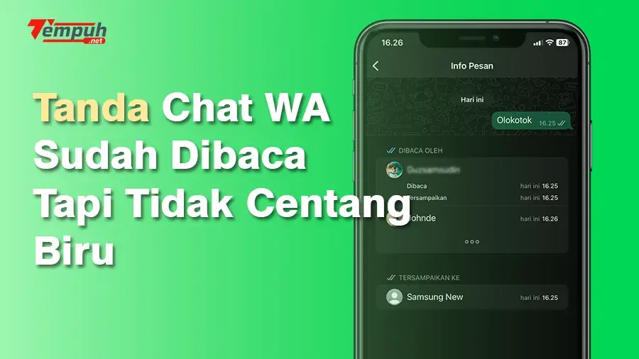 Inilah Tanda Chat WA Sudah Dibaca tapi Tidak Centang Biru