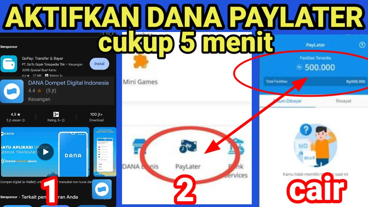 Cara Mengaktifkan Dana PayLater 2026, Solusi Jika Tidak Muncul